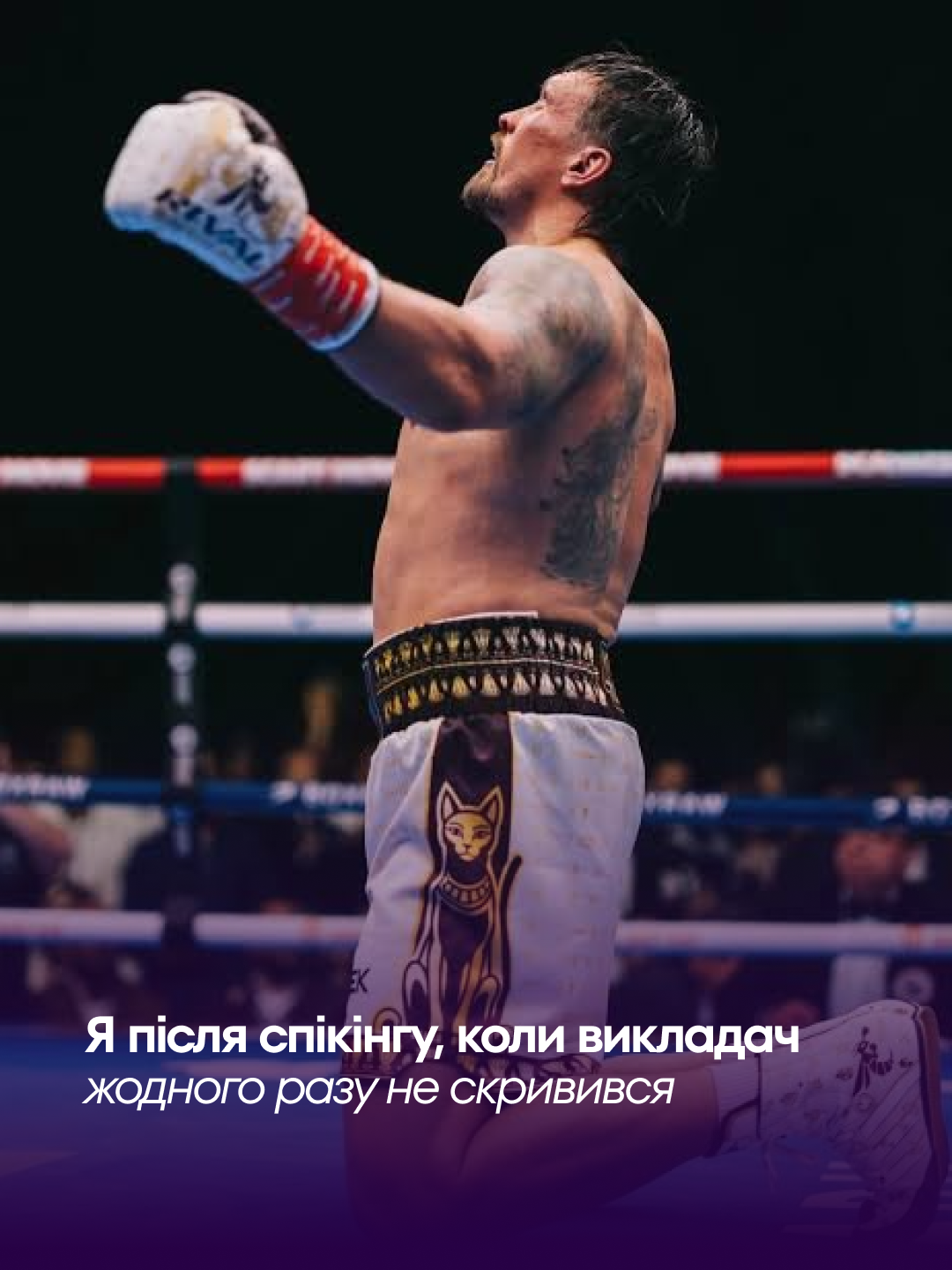 До бою Усика, слайд 4