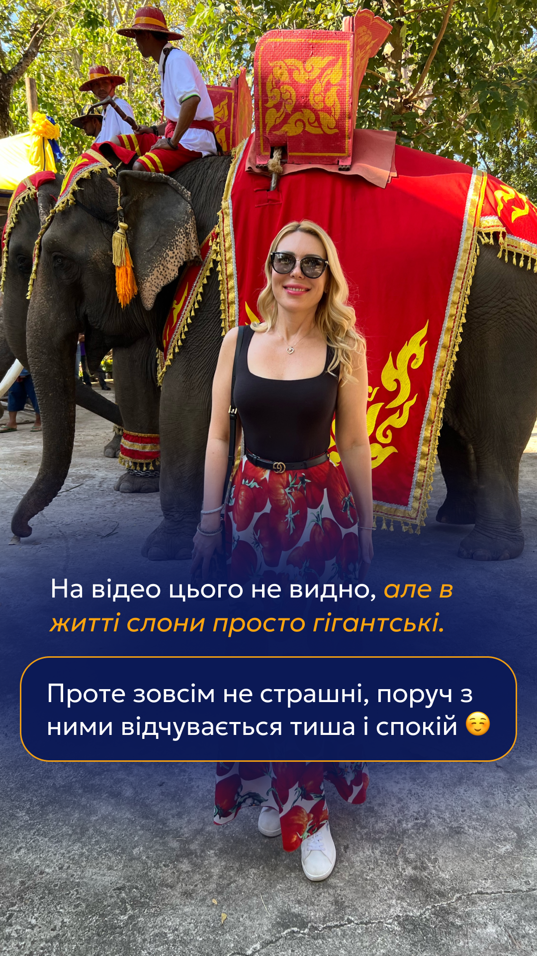 Альона Масина, слайд 3